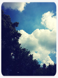 Low angle view of trees against cloudy sky