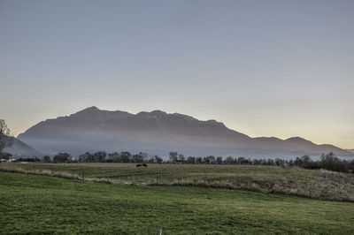 Scenic view of landscape