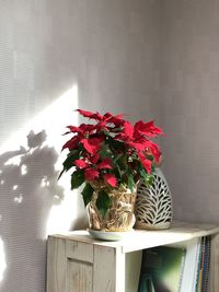 Close-up of potted plant in vase against wall