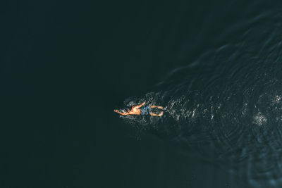 Man with a beautiful body swims in the lake