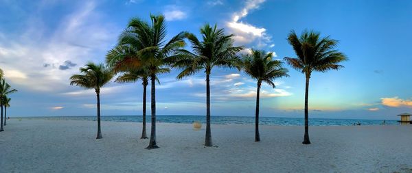 Palm trees on beach against sky