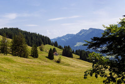 Panoramic view of trees and mountains against sky