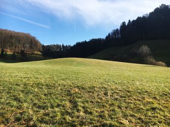 Scenic view of field against sky
