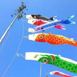 Low angle view of fish hanging against clear blue sky
