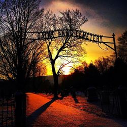 Silhouette of trees at sunset