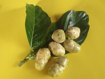 High angle view of fruits and leaves on table