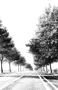 Empty road along trees