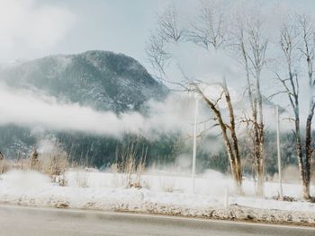 Trees and mountains against sky during foggy weather