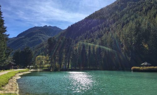 Scenic view of river by trees against sky