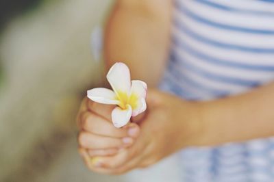 Close-up of hand holding flower