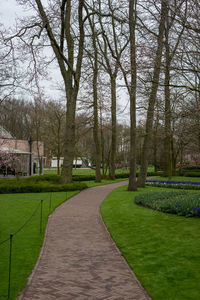 Footpath in park