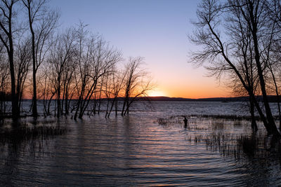 Silhouette bare trees by lake against sky during sunset