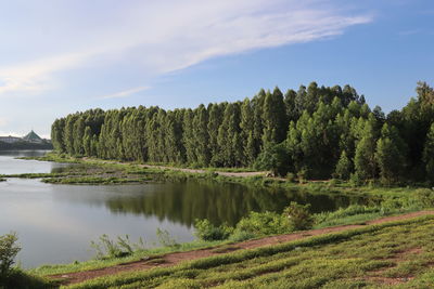 Scenic view of lake against sky