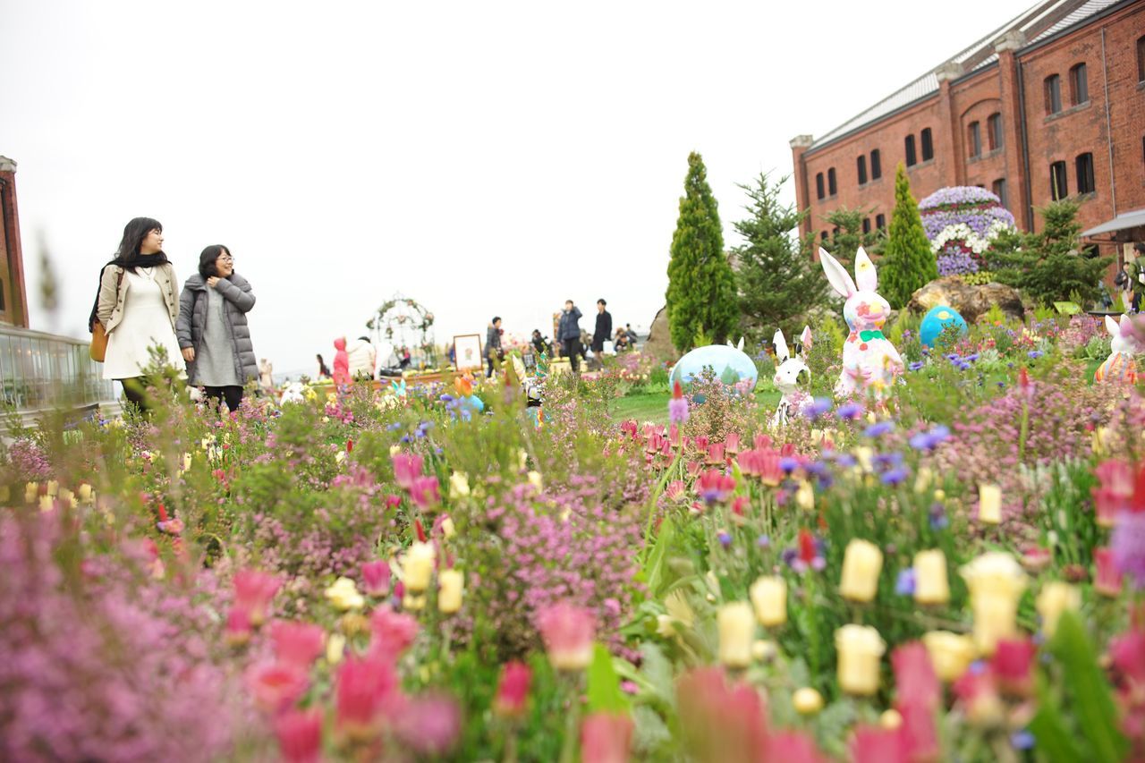 flower, clear sky, building exterior, field, men, growth, person, plant, freshness, lifestyles, copy space, large group of people, nature, built structure, sky, beauty in nature, day, architecture, leisure activity