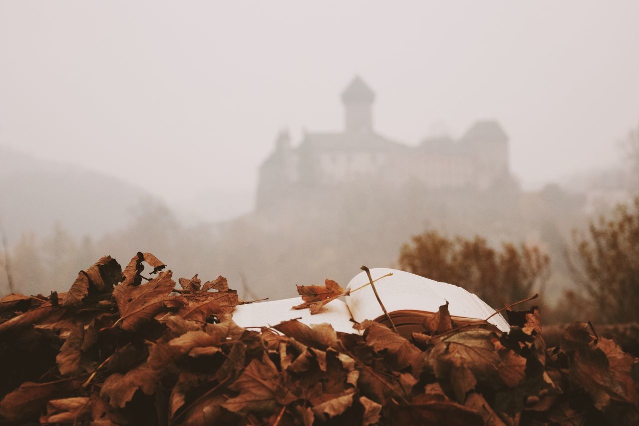 fog, foggy, religion, building exterior, built structure, architecture, spirituality, place of worship, weather, sky, outdoors, day, no people, nature, smoke - physical structure, travel destinations, travel