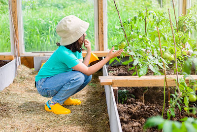 A little girl in a t-shirt and a panama, examines the tomato bushes in a glass greenhouse