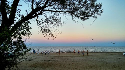 Scenic view of beach against sky during sunset