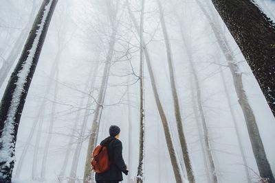 Low angle view of man standing amidst trees at forest during winter