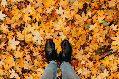 Low section of person standing on yellow maple leaves