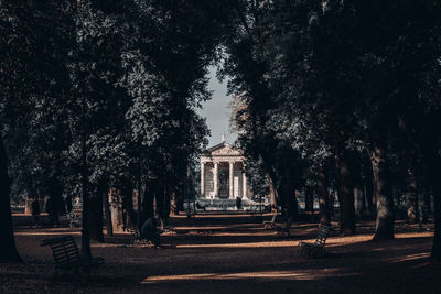 Trees in a temple