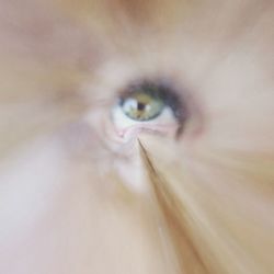 Extreme close up of eye