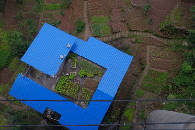 High angle view of plants and house roof