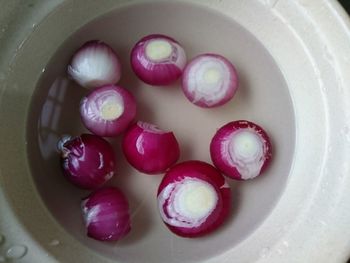 Close-up of eggs in plate