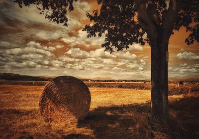 Hay bale on countryside landscape against clouds