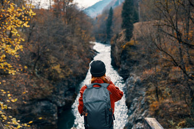 Rear view of person looking at forest during autumn