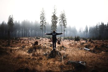 Rear view of woman standing on tree stump with arms outstretched against sky