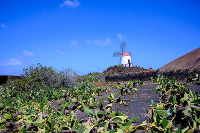 Low angle view of lighthouse amidst plants and buildings against sky