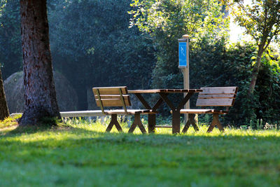 Empty bench on field by trees