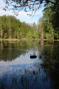 Scenic view of calm lake