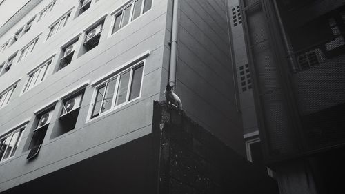 Low angle view of buildings in city