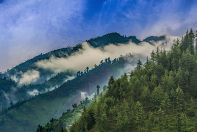 Panoramic view of trees and mountains against sky