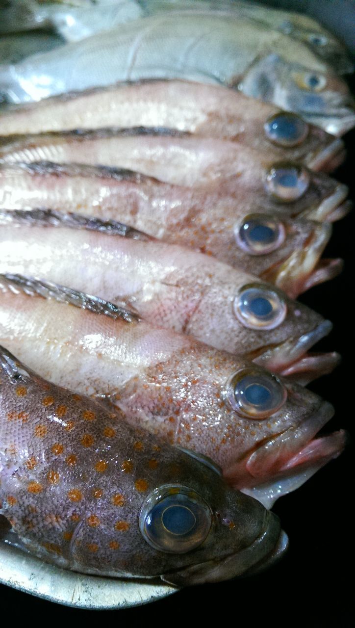 indoors, food and drink, close-up, fish, seafood, freshness, food, water, healthy eating, still life, one person, sea life, high angle view, indulgence, part of, glass - material, refreshment, focus on foreground, selective focus