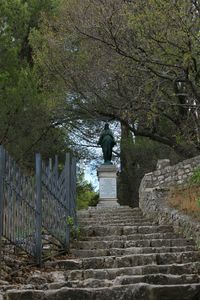 Man walking on road amidst trees