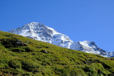 Scenic view of snowcapped mountains against clear blue sky