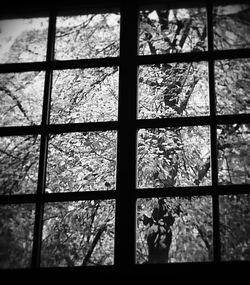 Full frame shot of tiled floor