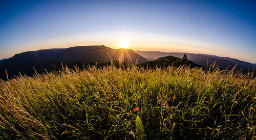 Scenic view of grassy field against sky during sunset