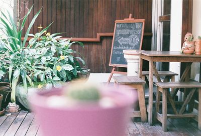 Potted plants by table at restaurant