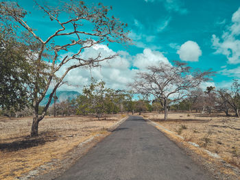 Empty road along bare trees against sky