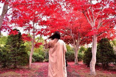 Rear view of woman standing on cherry blossom