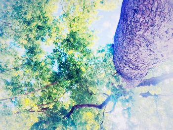 tree