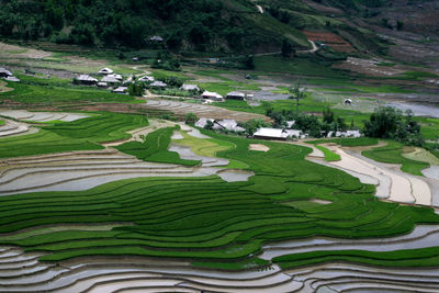 High angle view of agricultural field