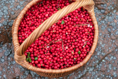 Close-up of handpicked cowberries in a basket