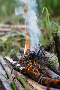 Close-up of bonfire on land