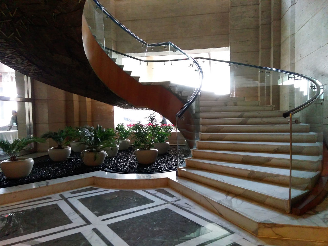 POTTED PLANT ON STAIRCASE BY WINDOW AT HOME