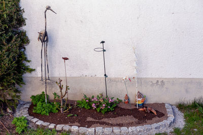 Potted plant against wall