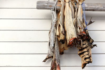 Codfish hanging - norway